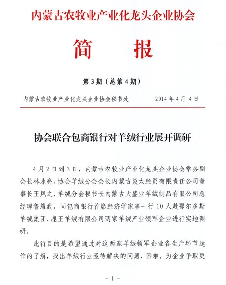 簡報(bào)第3期（總第4期）