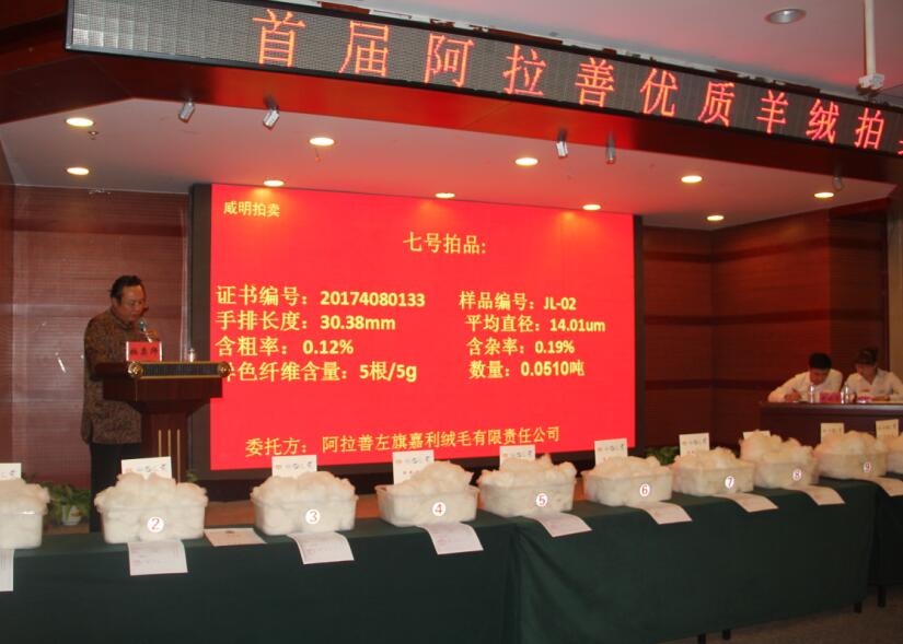 創(chuàng)新引領未來，品質(zhì)鑄就輝煌 首屆阿拉善優(yōu)質(zhì)羊絨拍賣會盛大舉行