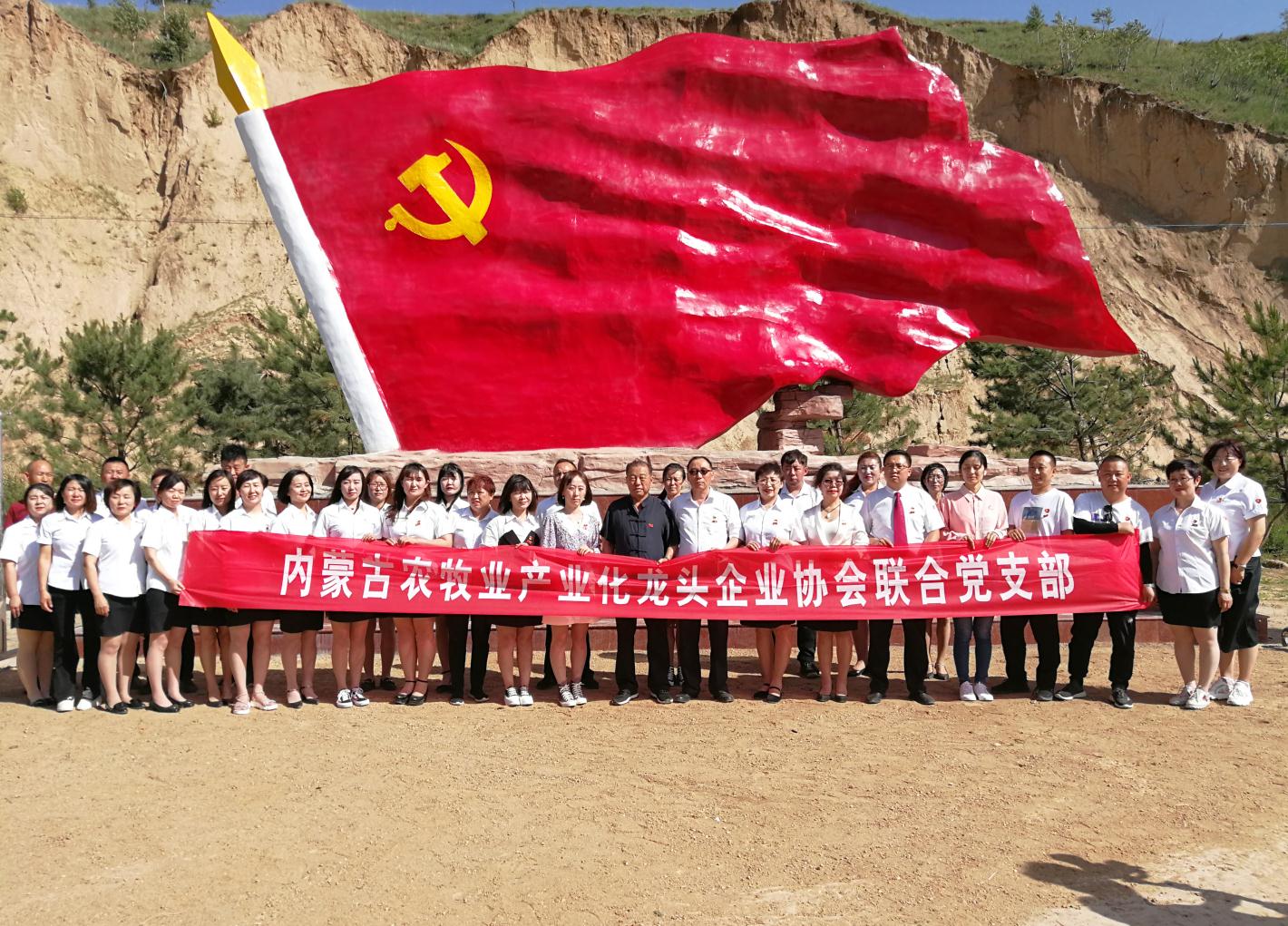 內(nèi)蒙古農(nóng)牧業(yè)產(chǎn)業(yè)化龍頭企業(yè)協(xié)會走進(jìn)石人灣村開展“辦實(shí)事、解難題，送溫暖，傳黨恩”公益活動